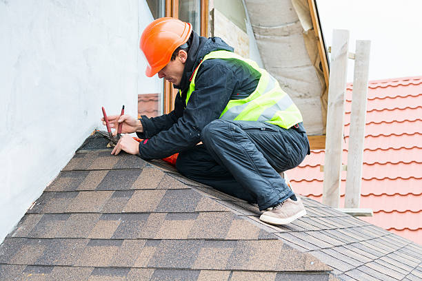 Best Roof Gutter Cleaning  in Castle Pines Village, CO